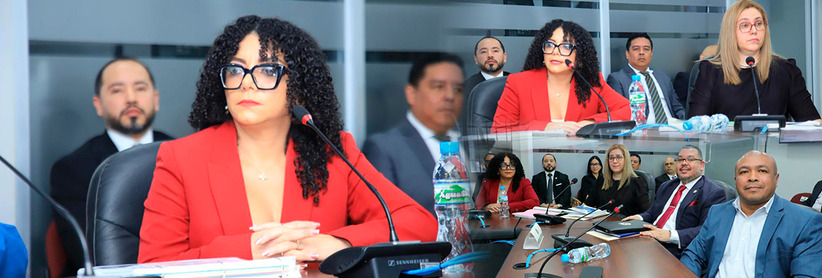 Sustentación vista presupuestaria 2026 ante la Asamblea Nacional